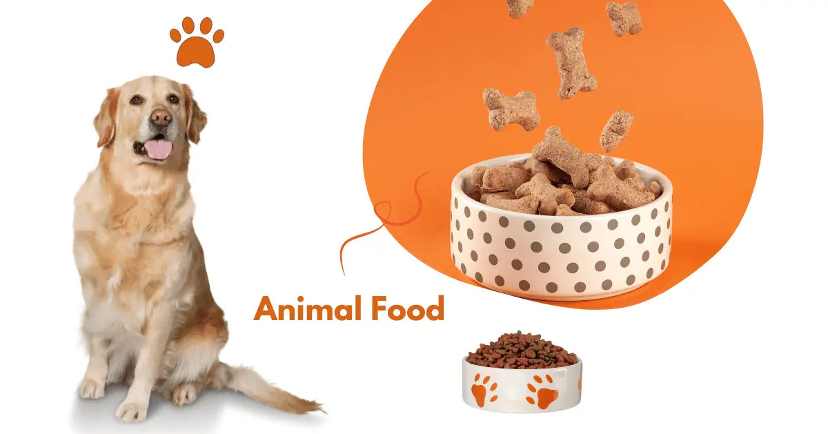 What To Put In Dog Food To Stop Eating Poop